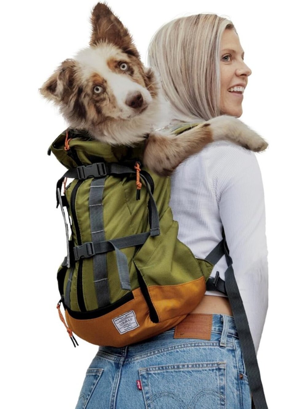 K9 Sport Sack Urban 3 - Large, Leafy - Ideal for Dogs with 20-22” Back Length